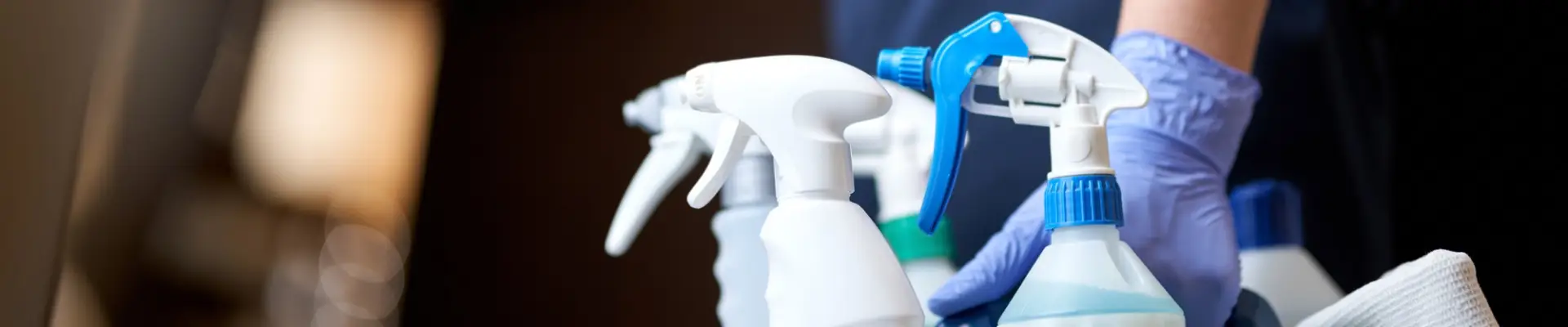 BusyB Cleaning Services 